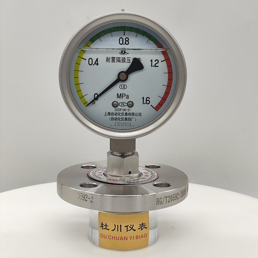 YNTP100BF法蘭DN25，膜片316L+PTFE（2）.jpg