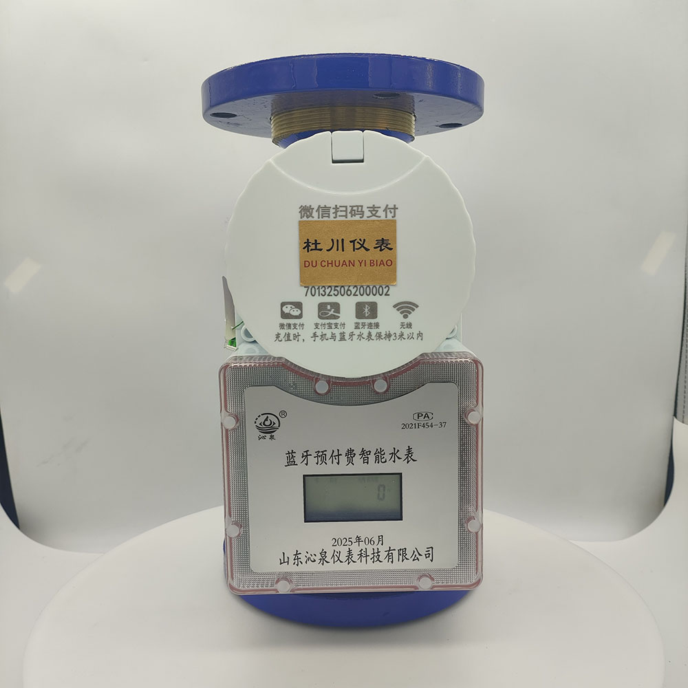 沁泉藍(lán)牙預(yù)付費(fèi)智能水表，DN65，水平冷水.jpg