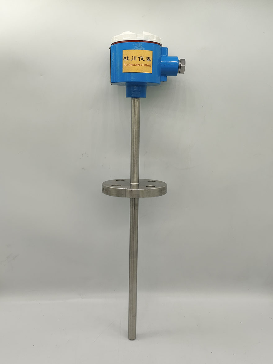 防爆熱電阻MM-SBWZR-441，-50-450℃，PT100，400x250mm，DN20.jpg